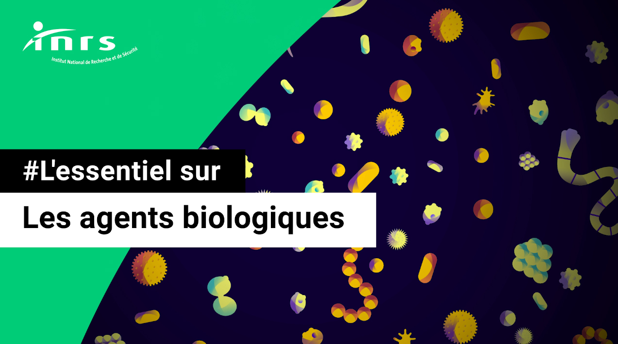 Cliquez pour lire la vidéo